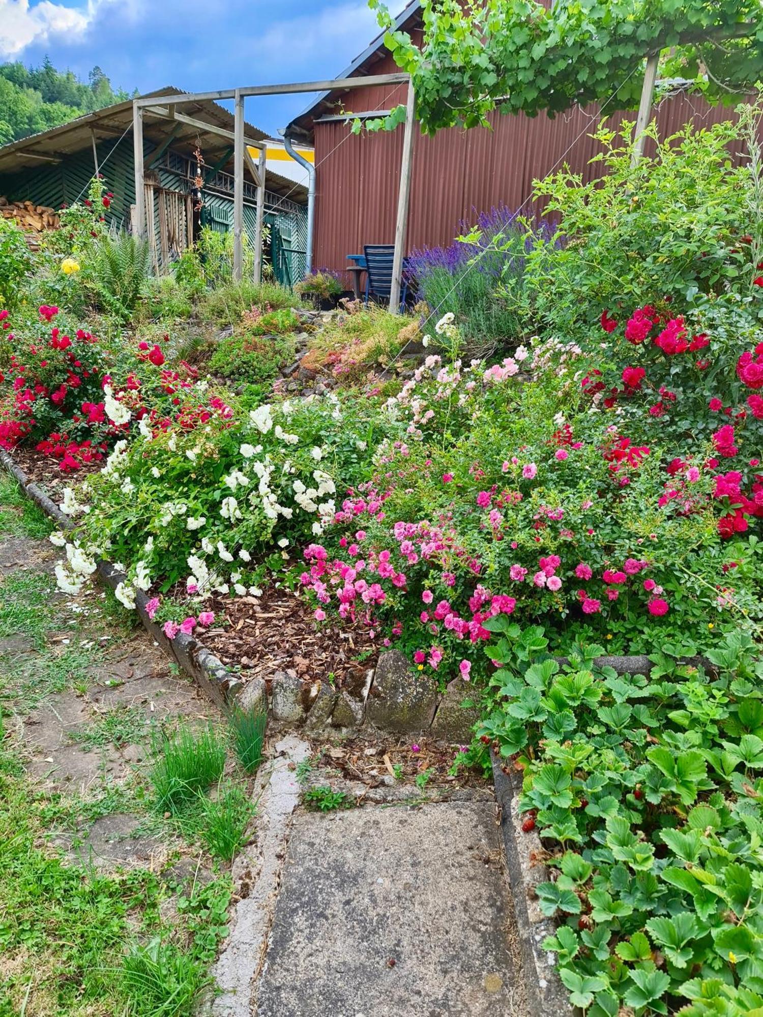 Ferienwohnung Kespergarten فِتْسِنهاوزن المظهر الخارجي الصورة